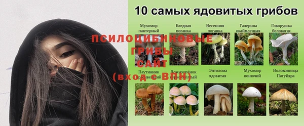 альфа пвп Дмитров