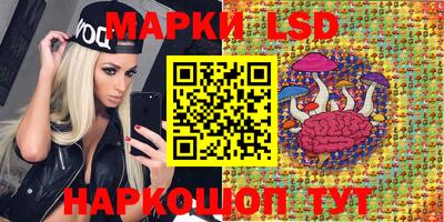 стаф Малгобек