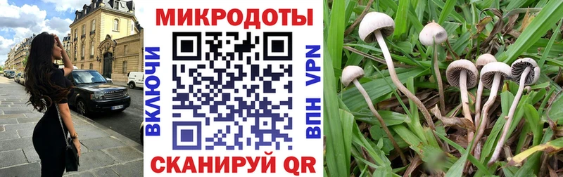 Псилоцибиновые грибы Psilocybine cubensis  цены   Ярцево 