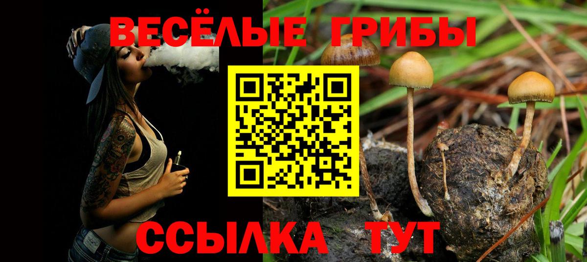 Галлюциногенные грибы GOLDEN TEACHER Ярцево
